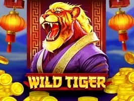 Wild Tiger game thumbnail